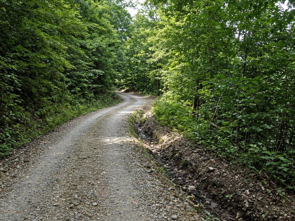 Illustrative image: a gravel access road through Appalachian hardwood forest
